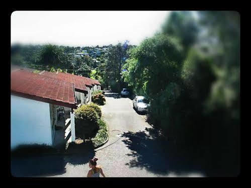 Okura Bush Browns Bay Olive Tree Motel & Apartment المظهر الخارجي الصورة